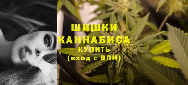альфа пвп Нязепетровск