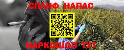 спайс Кимры